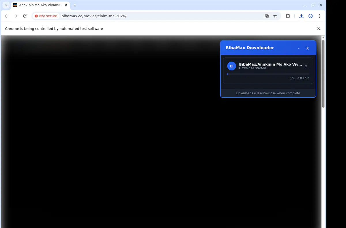 Bibamax Video Downloader browser extension screenshot 2