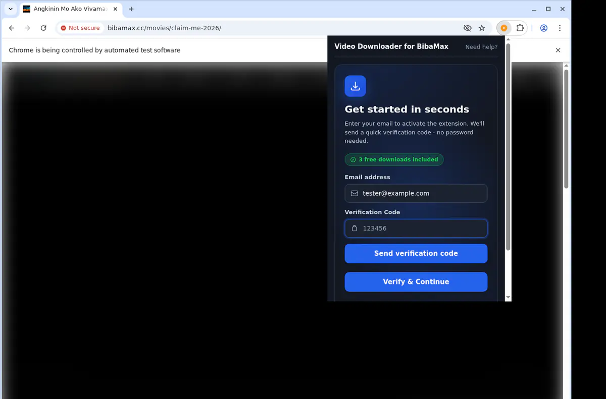 Bibamax Video Downloader browser extension screenshot 4