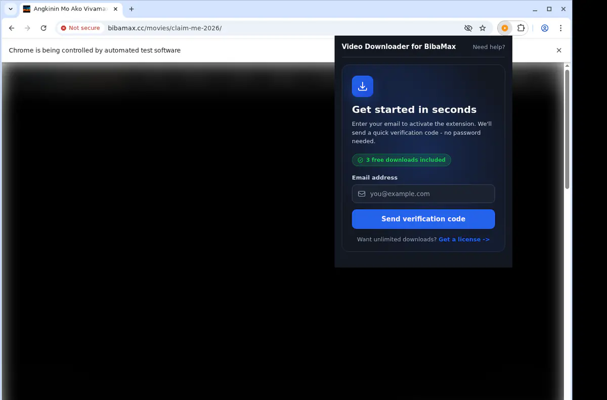 Bibamax Video Downloader browser extension screenshot 5